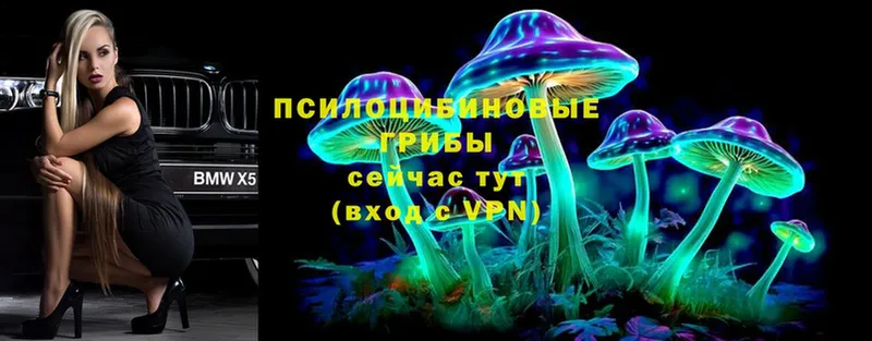 Псилоцибиновые грибы мухоморы  Кисловодск 